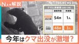 今年はクマ出没が激増?クマと遭遇しない対策、撃退スプレーの注意点【Nスタ解説】|TBS NEWS DIG