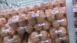 卵の価格高騰 今後の値段はどうなる?鳥インフルエンザ“厳重警戒” 養鶏場には「AI活用のレーザー発射装置」も|TBS NEWS DIG