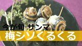 旬を迎えた国民的青魚「サンマの梅しそくるくる」はいかが | 大分のニュース|OBS NEWS|大分放送