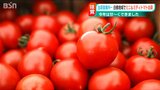甘さが濃くて“フルーツのような”ミニトマト　日照時間が長く“いい出来”に　新潟市南区|TBS NEWS DIG