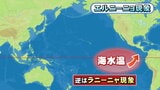 「エルニーニョ」終息へ 秋にかけ今度は「ラニーニャ現象」発生の可能性も 天候への影響は?|TBS NEWS DIG