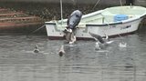 岩手県内朝の寒さ緩む あさってにかけ曇り 雷雨のところも|TBS NEWS DIG