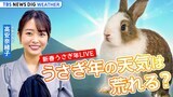 【お天気ライブ】2023年 仕事始めの空模様は? 新春うさぎ年LIVE(2023年1月3日)|TBS NEWS DIG