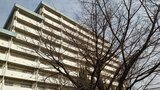 「廃墟」公務員宿舎の価値は《53億円相当》元不動産業者の国会議員が東京・新宿区の一等地で見たのは「まさに出物」なぜ10年塩漬けに…|TBS NEWS DIG
