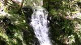 爽やかな風が吹く「横野滝」天然水で冷やされた流しそうめんも始まる【岡山】|TBS NEWS DIG