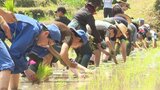 棚田遺産に認定の「両合棚田」で御田植祭 小学生40人が参加 大分・宇佐市 | 大分のニュース|OBS NEWS|大分放送