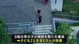 家族連れでにぎわう公園で銃乱射　8歳の男の子が頭部撃たれ重体　9人が負傷　アメリカ・ミシガン州|TBS NEWS DIG