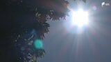 浜松市天竜で36.2℃「猛暑日」に 天竜では最高気温39℃予想も 天気の急変と熱中症にも注意必要＝静岡　|　静岡のニュース | SBSNEWS | 静岡放送