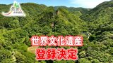 『佐渡島の金山』 世界文化遺産への登録決定 国内26件目の世界遺産に 新潟県内では初|TBS NEWS DIG