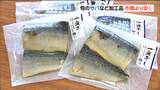 「サンマや銀タラ、しめサバ、金華さばなど魚好き家庭です」“水産の日”の販売会に訪れた人はどんな人 宮城・石巻市 | 宮城のニュース│tbc NEWS│tbc東北放送