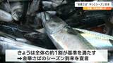 「そこそこいい魚が来てくれた」金華サバ“ようやくシーズン到来”年末の宣言は初　宮城・石巻市|TBS NEWS DIG