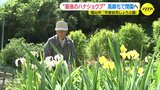 “最後のハナショウブ”　管理する人の高齢化で「しょうぶ園」が閉園へ　広島･福山市　|　RCC NEWS | 広島ニュース | RCC中国放送
