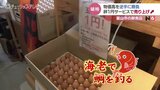 海老で鯛釣る鮮魚店!タマゴ1個1円で売り上げアップ 富山 | 富山のニュース|天気・防災|チューリップテレビ