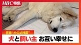 【密着】ランニングにフィットネス、お昼寝も“犬の幼稚園”驚きの学習内容…犬と人間の程よい関係を見直し、お互い幸せに暮らすために　札幌市南区|TBS NEWS DIG