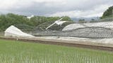 「言葉が出ない」ハウス倒壊に農家落胆　線状降水帯の発生で福岡と佐賀に被害相次ぐ|TBS NEWS DIG