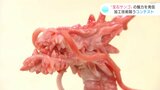 龍に和菓子にニンニクに！高知の地場産品「宝石サンゴ」の魅力を発信　加工技術を競うコンテスト開催|TBS NEWS DIG
