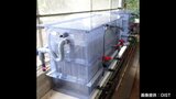 畜産農家の課題解決につながる排水処理技術実用化へ OISTと県外企業がライセンス契約 費用負担軽減や排水の悪臭対策に期待|TBS NEWS DIG