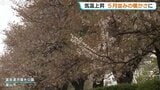 南からの強い風が吹くものの日中は５月並の気温に 富山|TBS NEWS DIG