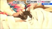 「できるだけ一緒にペットと避難するのが原則」災害時に必要な『同行避難』の備えと注意すべきことは? | 新潟のニュース・天気|BSN NEWS|BSN新潟放送