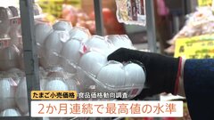 卵の卸売価格 5か月連続で前年を下回る　一方、小売価格は2か月連続で最高値水準に 高値はいつまで…| TBS CROSS DIG with Bloomberg