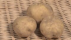 来月前半は「じゃがいも」「たまねぎ」が平年より1割から3割ほど高い見通し　イラン情勢の影響は聞かれず　農水省| TBS CROSS DIG with Bloomberg