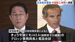 中国 日本産水産物の輸入再開に向け日中両政府が調整 岸田総理がIAEA事務局長と電話会談へ| TBS CROSS DIG with Bloomberg