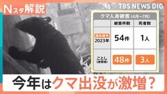 今年はクマ出没が激増？クマと遭遇しない対策、撃退スプレーの注意点【Nスタ解説】| TBS CROSS DIG with Bloomberg