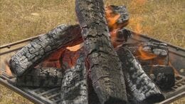 バーベキューで使った「炭」後処理に注意　水をかけるだけではダメ　火事になったり、法律違反になったりすることも…正しい処理方法は？|TBS NEWS DIG