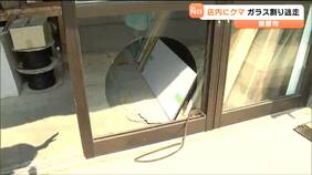 店の中にクマが…対峙した男性“大きな声を出したら”窓ガラス突き破りクマ立ち去る　宮城・栗原市|TBS NEWS DIG