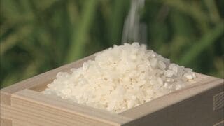 政府備蓄米の買い入れ　きょう開始　複数回に分けて今年産のコメ約21万トンを調達| TBS CROSS DIG with Bloomberg