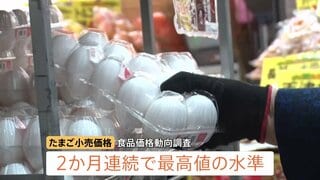 卵の卸売価格 5か月連続で前年を下回る　一方、小売価格は2か月連続で最高値水準に 高値はいつまで･･･| TBS CROSS DIG with Bloomberg