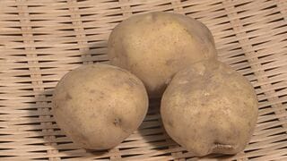 来月前半は「じゃがいも」「たまねぎ」が平年より1割から3割ほど高い見通し　イラン情勢の影響は聞かれず　農水省| TBS CROSS DIG with Bloomberg