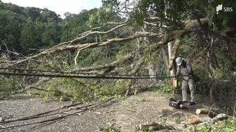 土砂崩れ発生 倒木や土砂が道路をふさぐ 少なくとも6世帯7人が孤立状態 約50戸が停電＝静岡・下田市【詳報】　|　静岡のニュース | SBSNEWS | 静岡放送