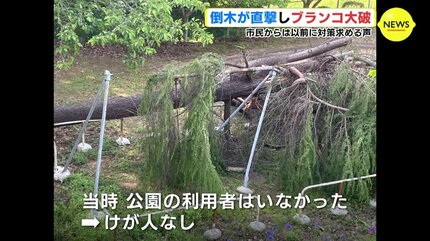 樹木医「天気が1つの要因」 倒木が直撃し 公園のブランコ大破 以前
