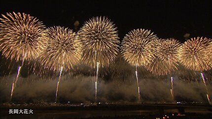 夜空を染める大輪の花 新潟・長岡まつり大花火大会 初日の有料観客数は