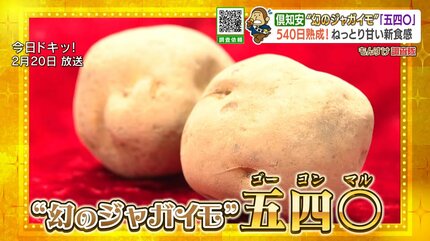 超絶甘い“幻のジャガイモ”が海外へ ドバイのミシュラン2つ星シェフが大