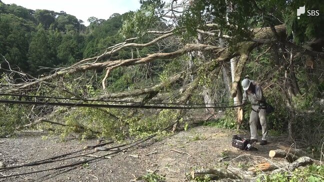 土砂崩れ発生 倒木や土砂が道路をふさぐ 少なくとも6世帯7人が孤立状態 約50戸が停電＝静岡・下田市【詳報】|TBS NEWS DIG