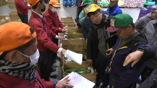 中央卸売市場で初競り 野菜・青果は平年よりやや高値で滑り出し|TBS NEWS DIG