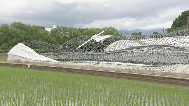 「言葉が出ない」ハウス倒壊に農家落胆 線状降水帯の発生で福岡と佐賀に被害相次ぐ|TBS NEWS DIG