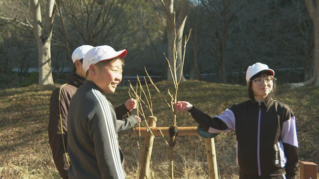 卒業を前に小学6年生がサクラを記念植樹 ダムのほとりに思い出刻む 山口・周南|TBS NEWS DIG