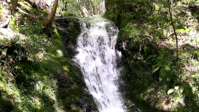 爽やかな風が吹く「横野滝」天然水で冷やされた流しそうめんも始まる【岡山】|TBS NEWS DIG