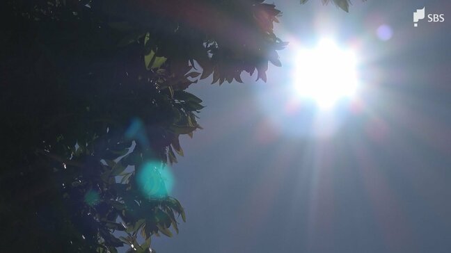 浜松市天竜で36.2℃「猛暑日」に 天竜では最高気温39℃予想も 天気の急変と熱中症にも注意必要=静岡|TBS NEWS DIG