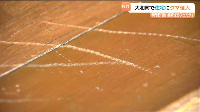 住宅にクマ侵入し窓ガラス割る“暗い場所求めたか”専門家が分析 宮城・大和町|TBS NEWS DIG