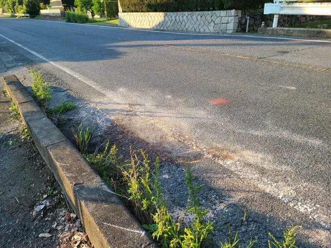 【速報】国道２号で軽貨物車と乗用車が事故…女の子(6)など3人乗車　けがの程度不明　山口|TBS NEWS DIG