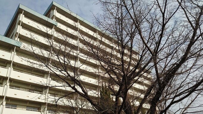 「廃墟」公務員宿舎の価値は《53億円相当》元不動産業者の国会議員が東京・新宿区の一等地で見たのは「まさに出物」なぜ10年塩漬けに…|TBS NEWS DIG