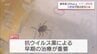 「命、取られたな」致死率2割超マダニ感染症「SFTS」　元患者が語る恐怖と重症化防ぐポイントは・・・　|　MRTニュース ｜ ＭＲＴ宮崎放送