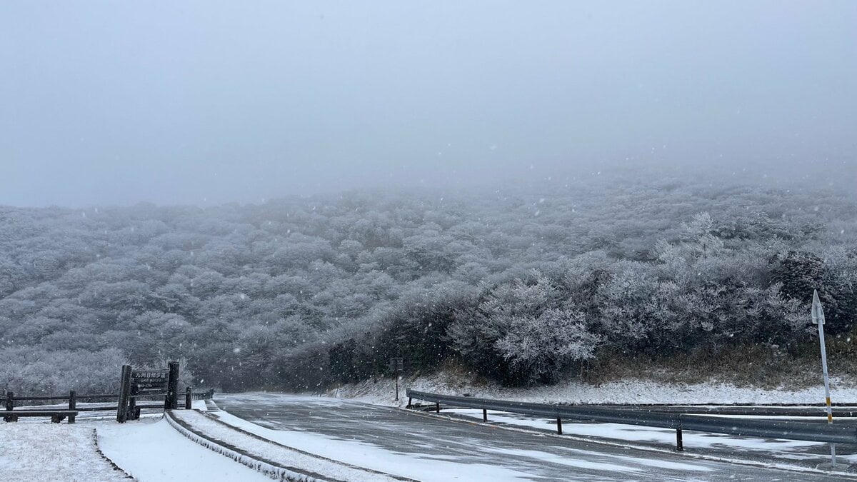 強い冬型の気圧配置で真冬並み冷え込み 大分市で初雪 TBS NEWS DIG