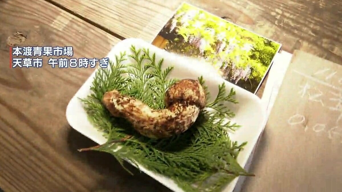 高橋英樹さんが今年も競り落とす 春マツタケにまさかのキロ120万円