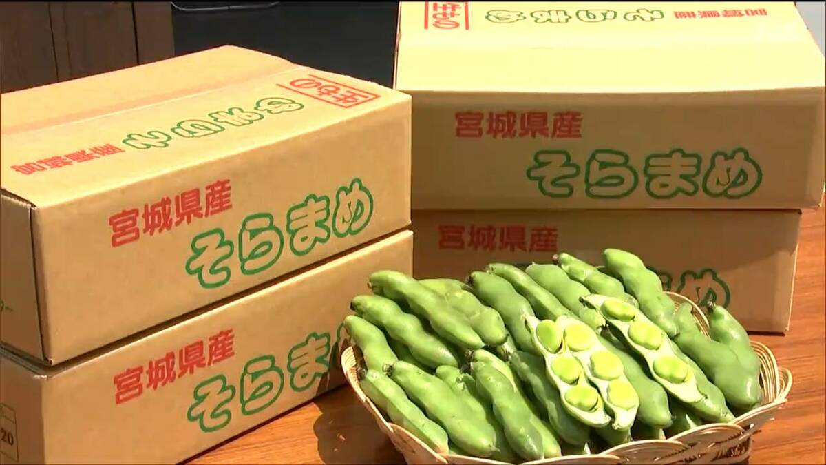 今年も夏が来たなと感じて」甘く育った