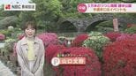 3万本のツツジが咲き誇る諫早公園の鮮やかな春　次世代へつなぐ320株の苗木「つつじ満開プロジェクト」|TBS NEWS DIG